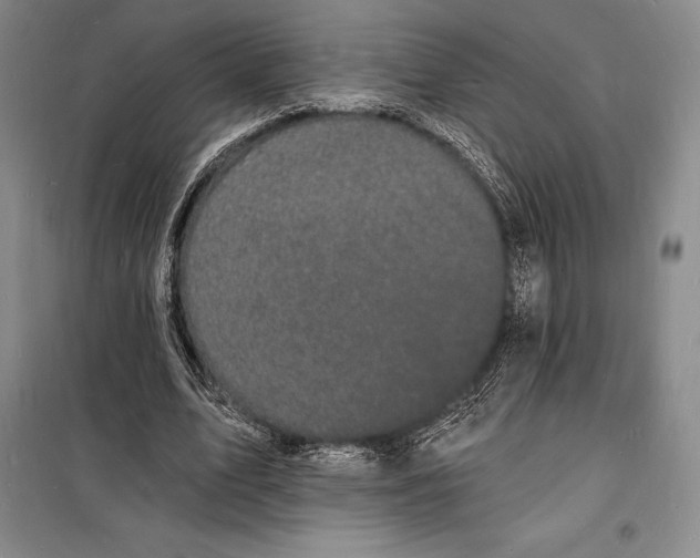 X0000098230583200805151343