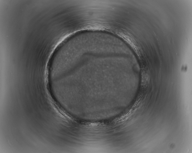 X0000098230584200805151343