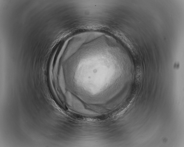 X0000098230585200805151343