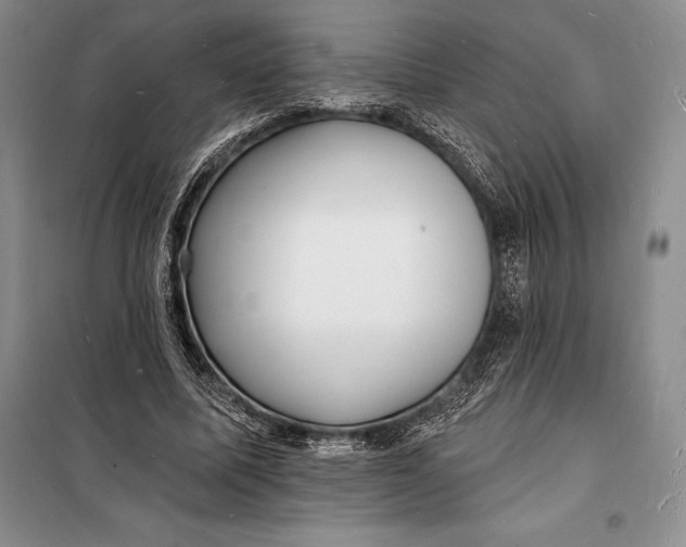 X0000098230587200805151343