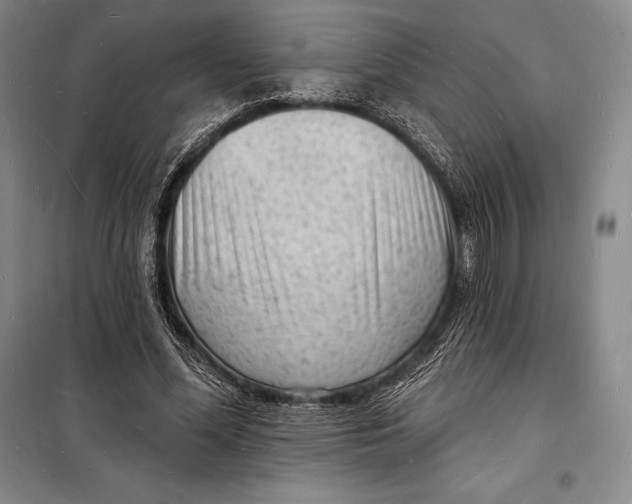 X0000098230588200805151343