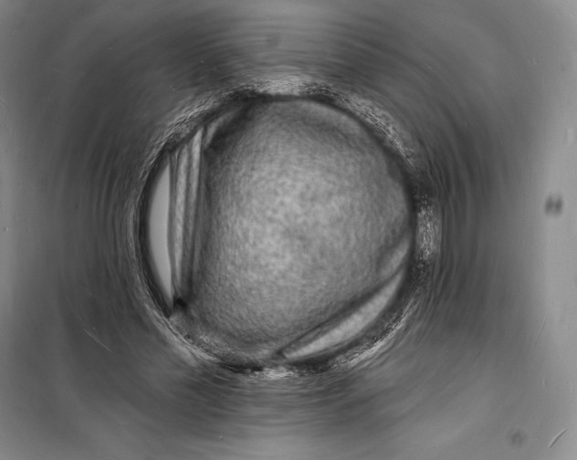 X0000098230589200805151343