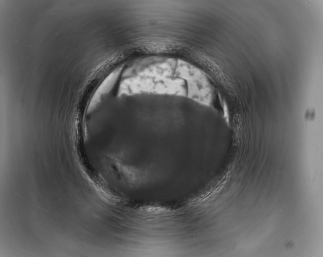 X0000098230590200805151343