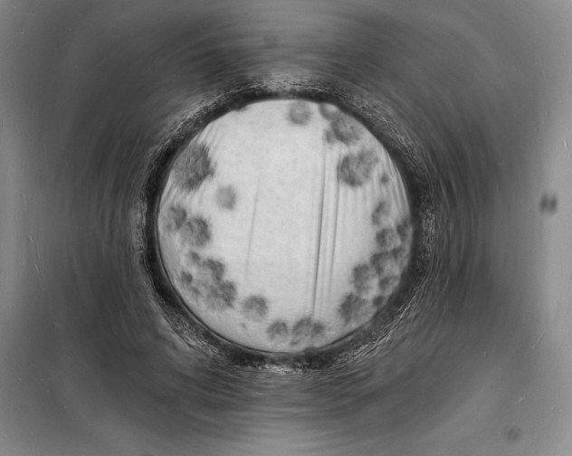 X0000098230592200805151343