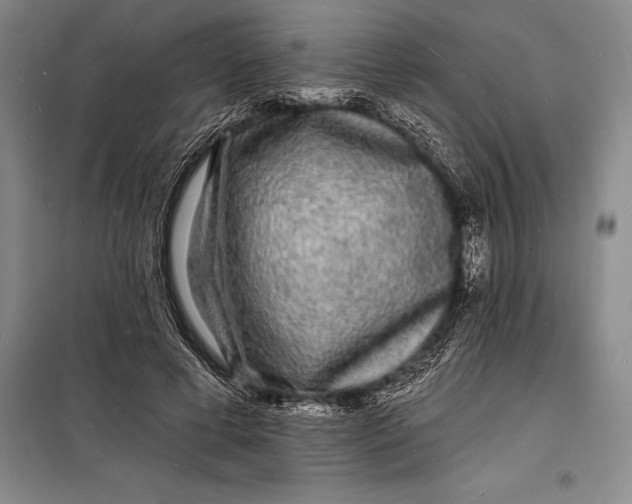 X0000098230593200805151343