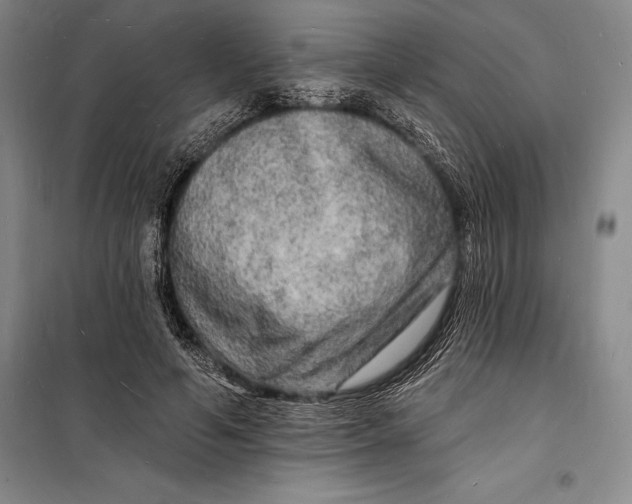 X0000098230594200805151343