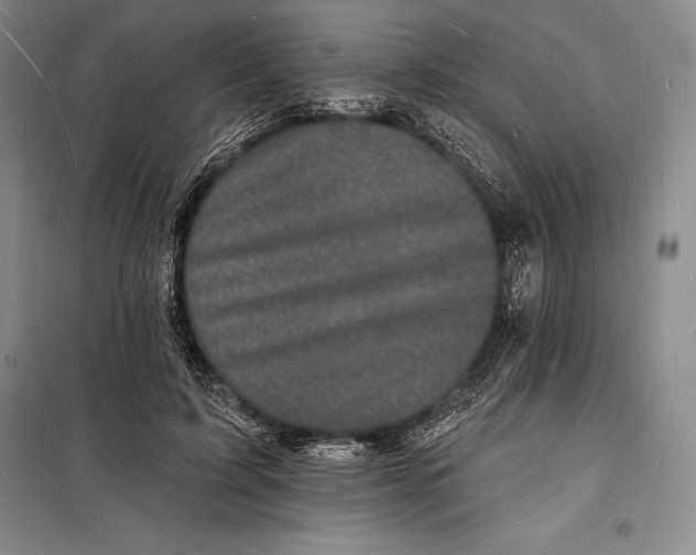 X0000098230595200805151343