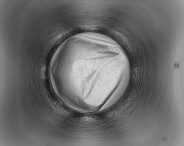 X0000098230596200805151343