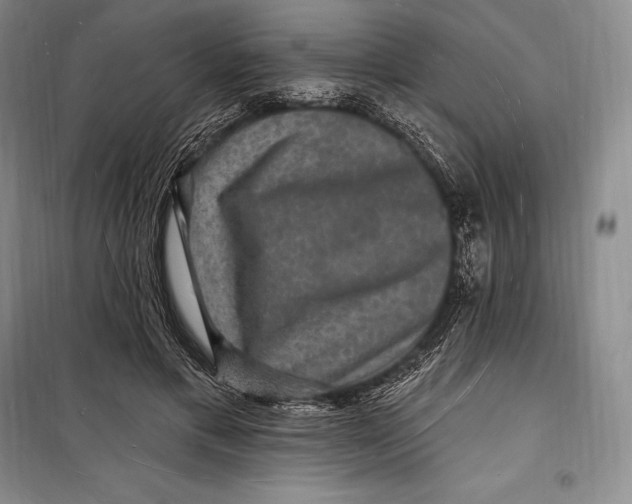 X0000098230597200805151343