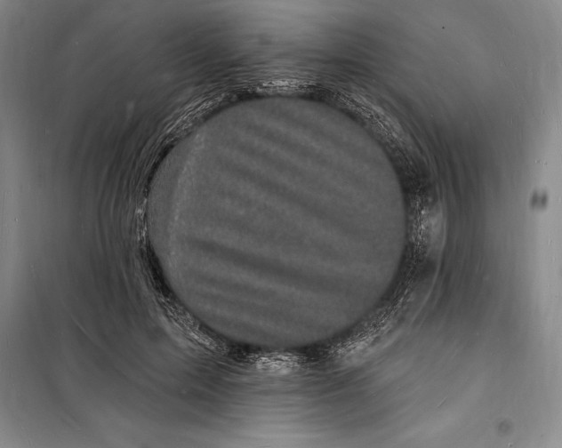 X0000098230599200805151343