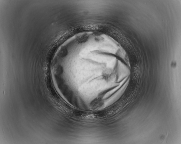 X0000098230600200805151343