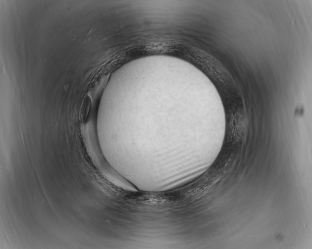 X0000098230601200805151343