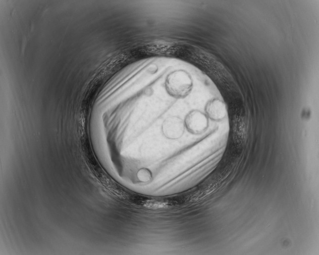 X0000098230602200805151343