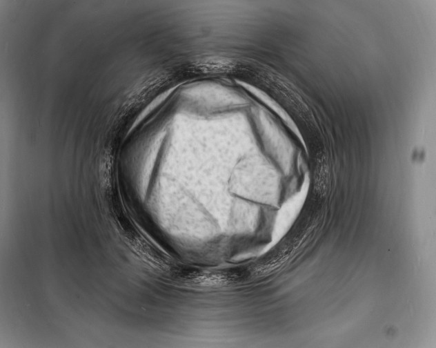 X0000098230604200805151343