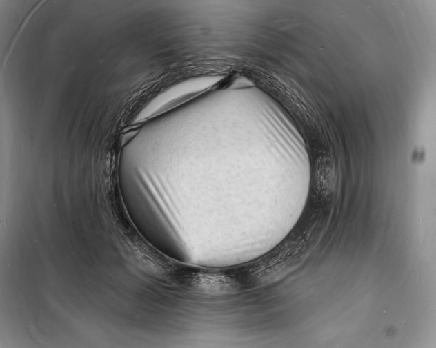 X0000098230605200805151343