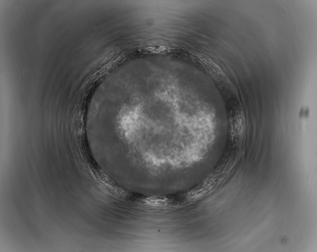 X0000098230606200805151343