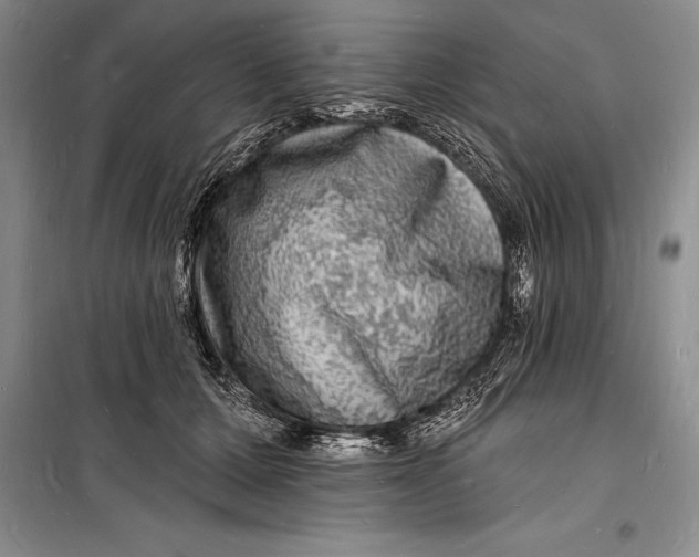 X0000098230607200805151343