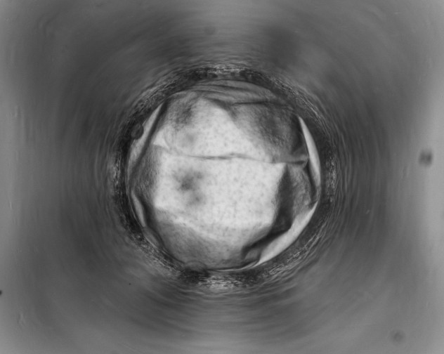 X0000098230608200805151343