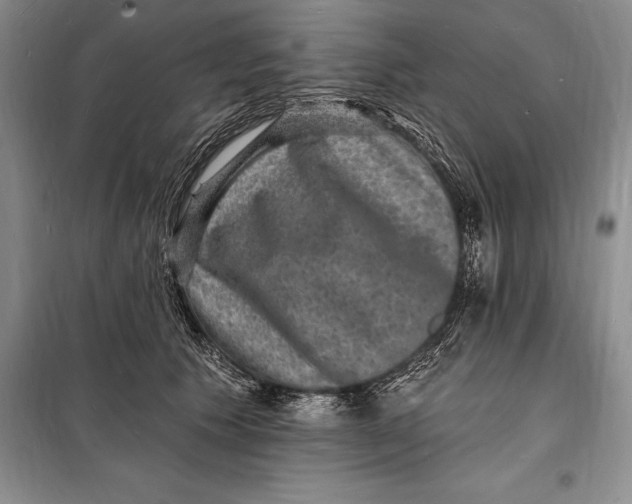 X0000098230609200805151343