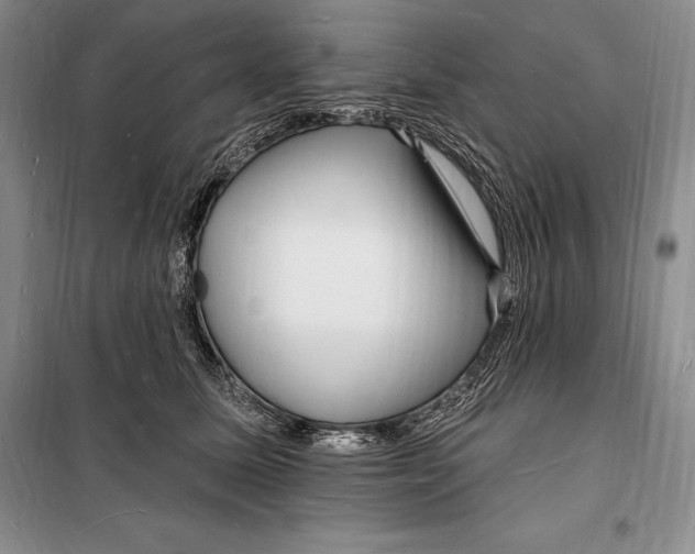 X0000098230611200805151343