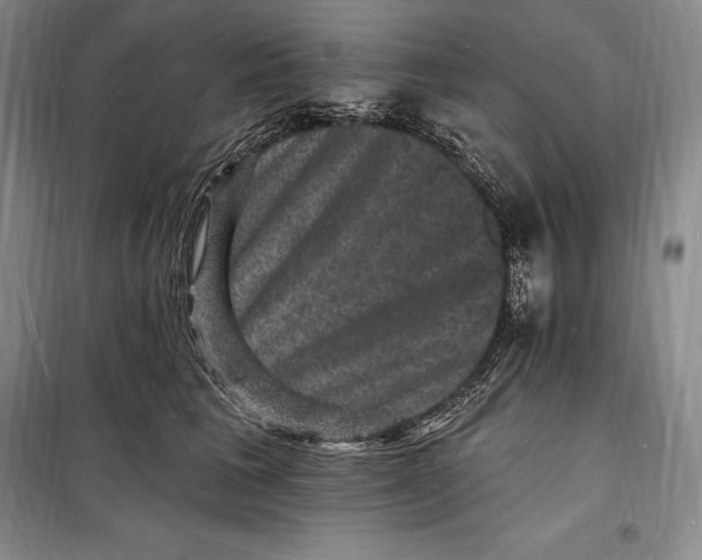 X0000098230613200805151343