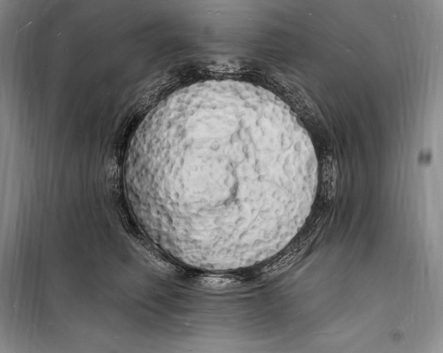 X0000098230614200805151343