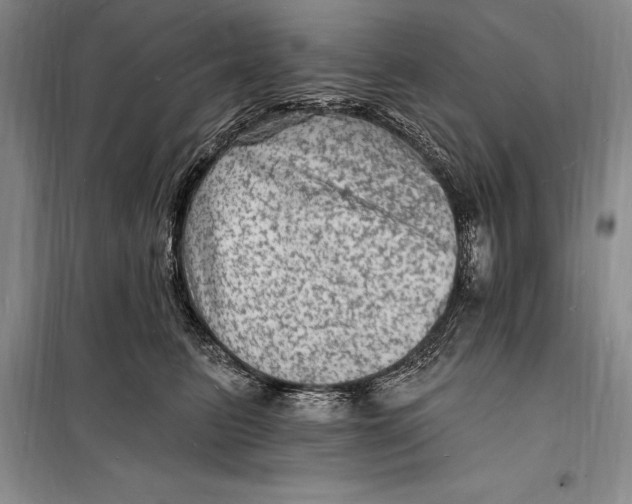 X0000098230615200805151343