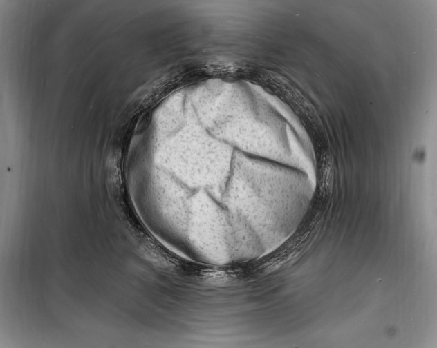 X0000098230616200805151343