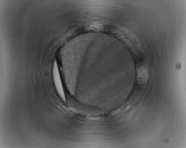 X0000098230617200805151343