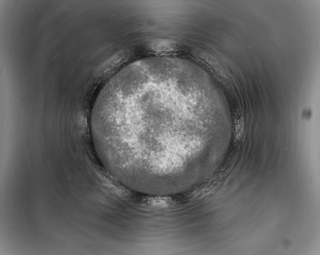 X0000098230618200805151343