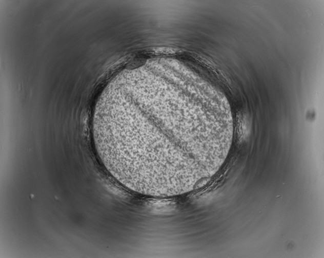 X0000098230619200805151343