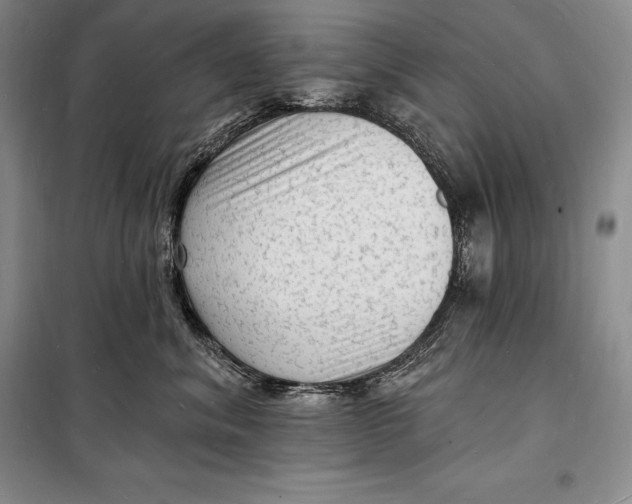 X0000098230620200805151343