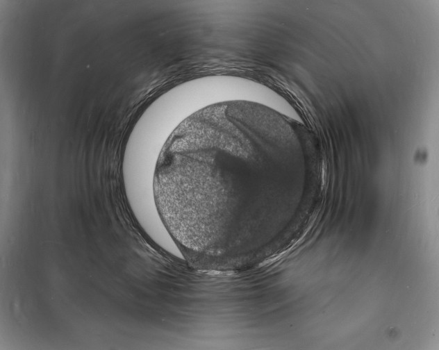 X0000098230621200805151343