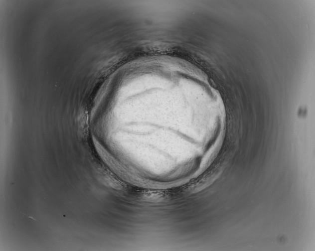 X0000098230624200805151343