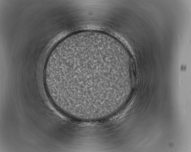 X0000098230625200805151342