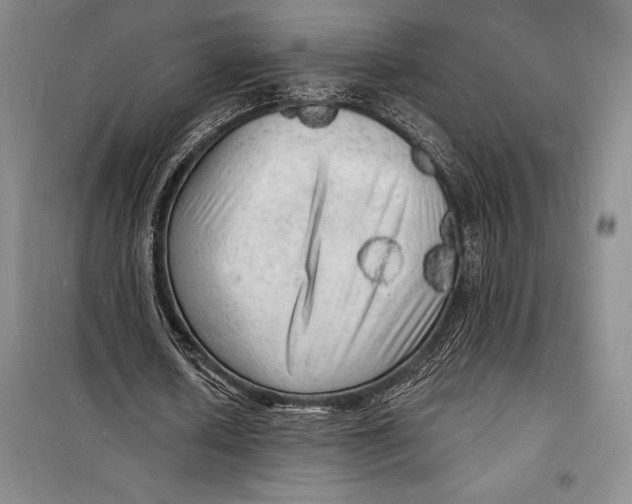 X0000098230626200805151342