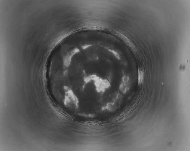 X0000098230627200805151342