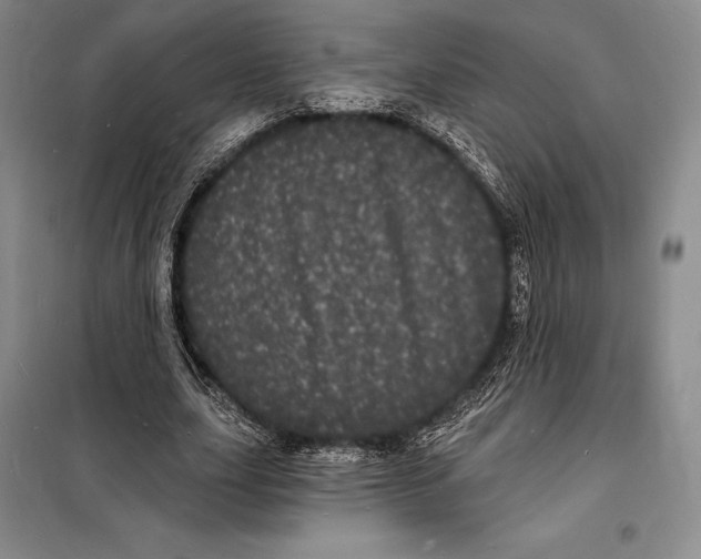 X0000098230631200805151342