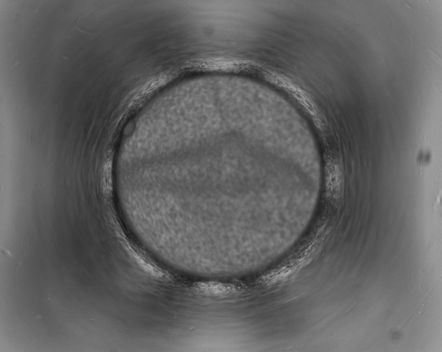 X0000098230633200805151342