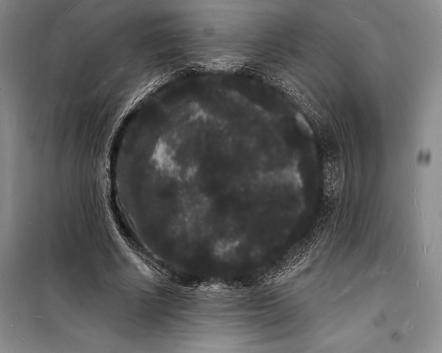 X0000098230634200805151342