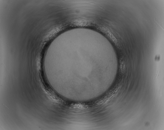 X0000098230635200805151342