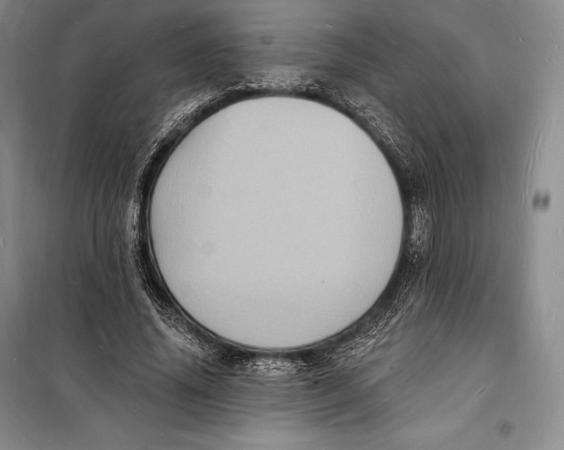 X0000098230636200805151342