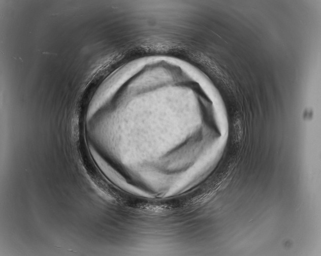 X0000098230638200805151342