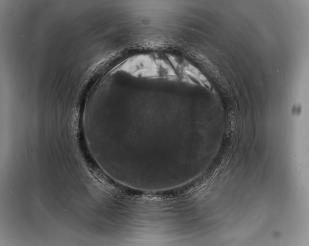 X0000098230640200805151342