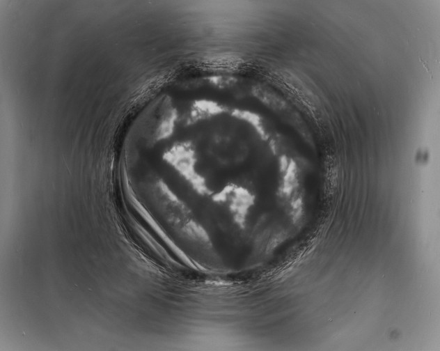 X0000098230641200805151342