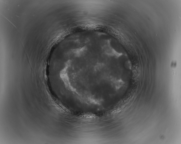 X0000098230642200805151342