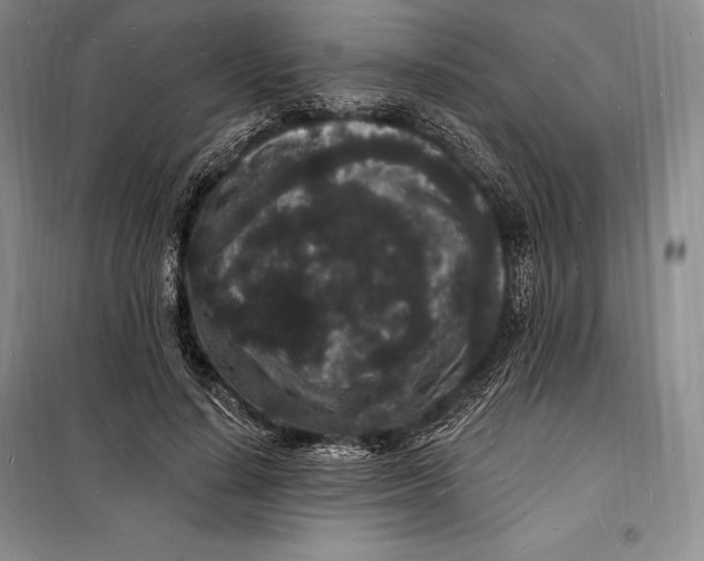 X0000098230644200805151342