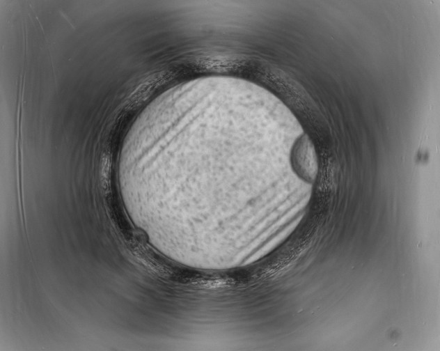 X0000098230646200805151342