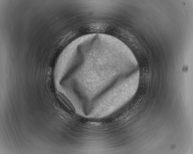 X0000098230649200805151342