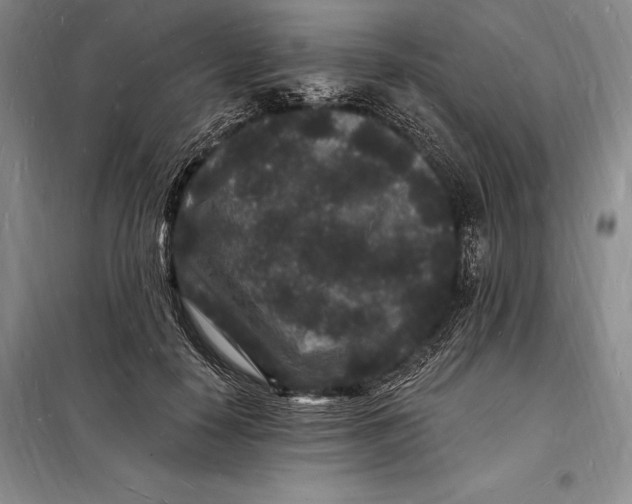 X0000098230650200805151342